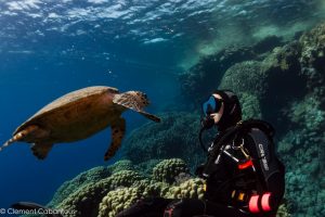 A scuba diver observes a hawksbill sea turtle gliding gracefully over a colorful coral reef in the Red Sea, highlighting the rich marine biodiversity of Boreas’ dive destinations.