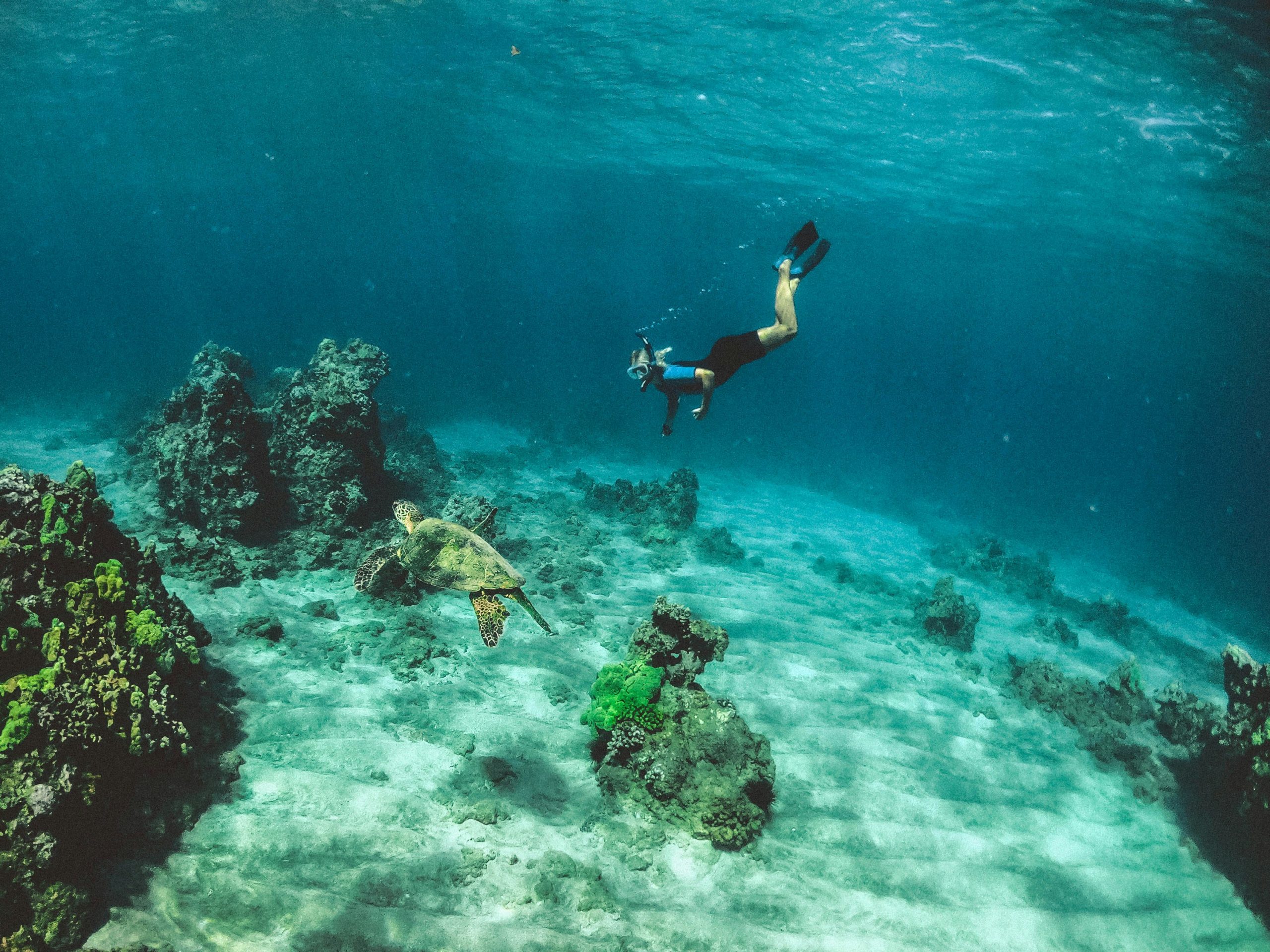 9 Amazing Egypt Red Sea Snorkeling Spots to Explore in 2025