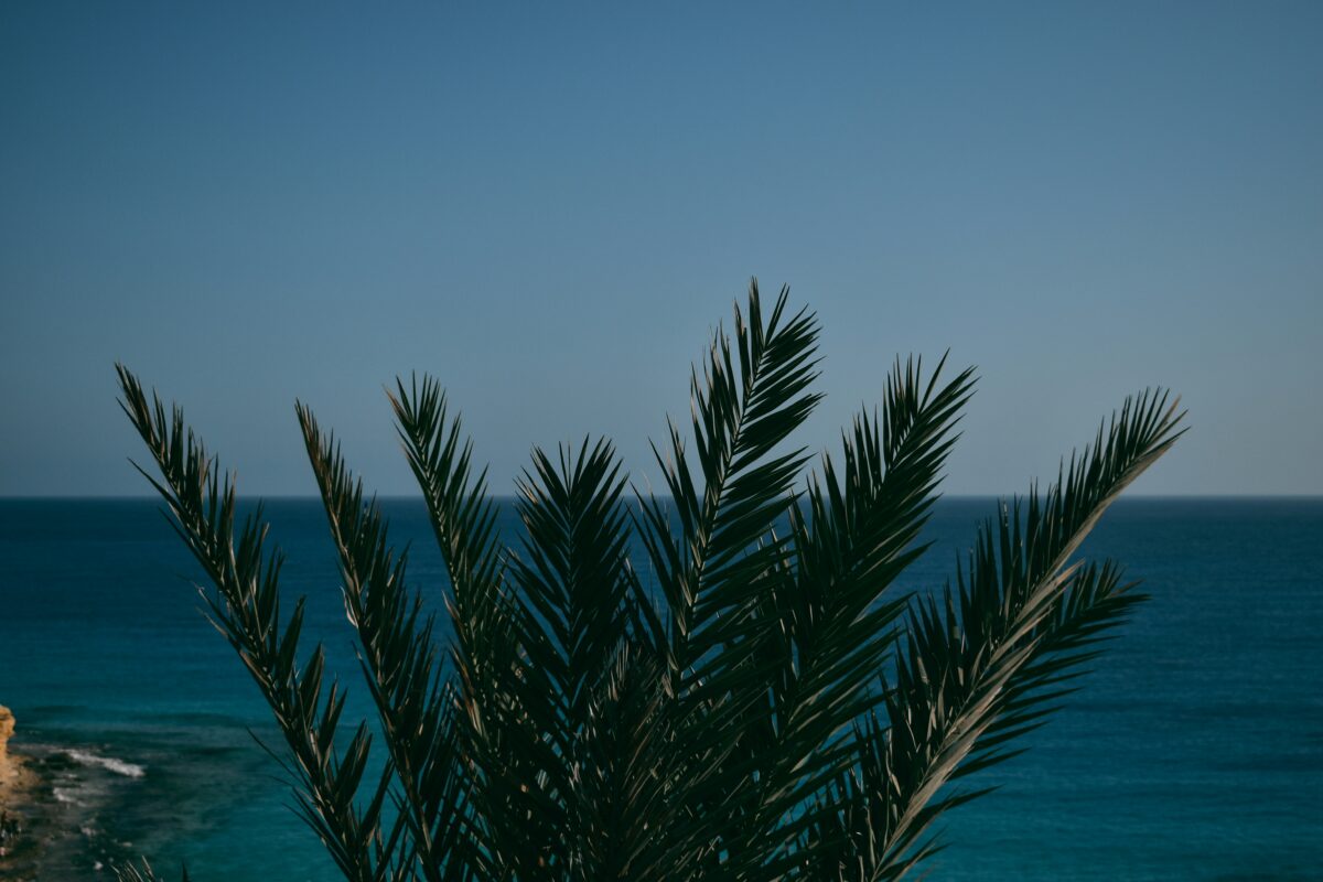 premium Red Sea floating resort