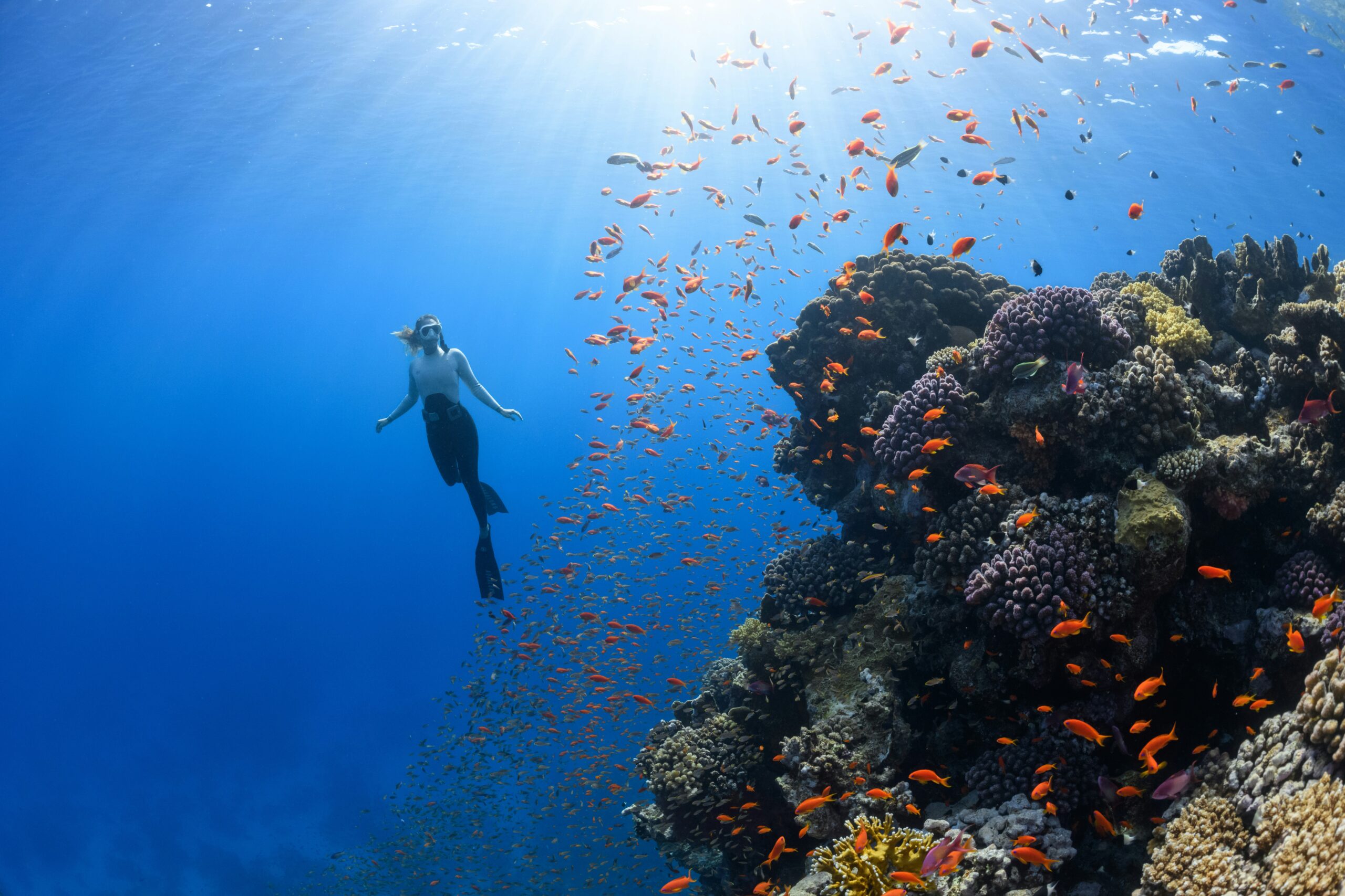 LUXURY FREEDIVING CHARTER – RED SEA