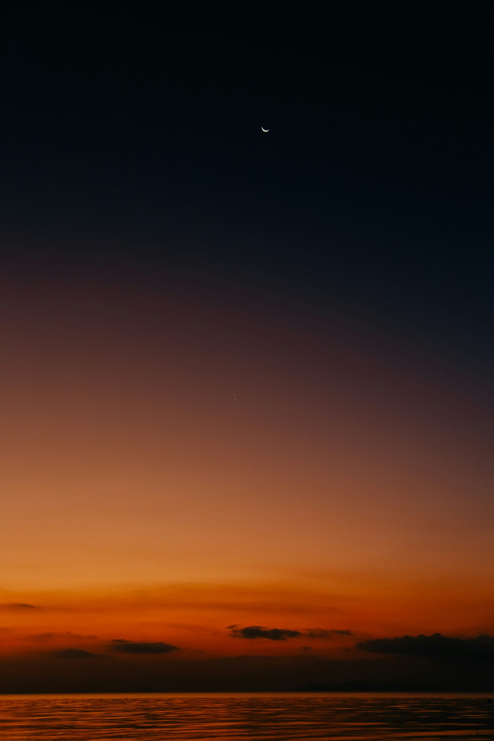 Night sky over the Red Sea