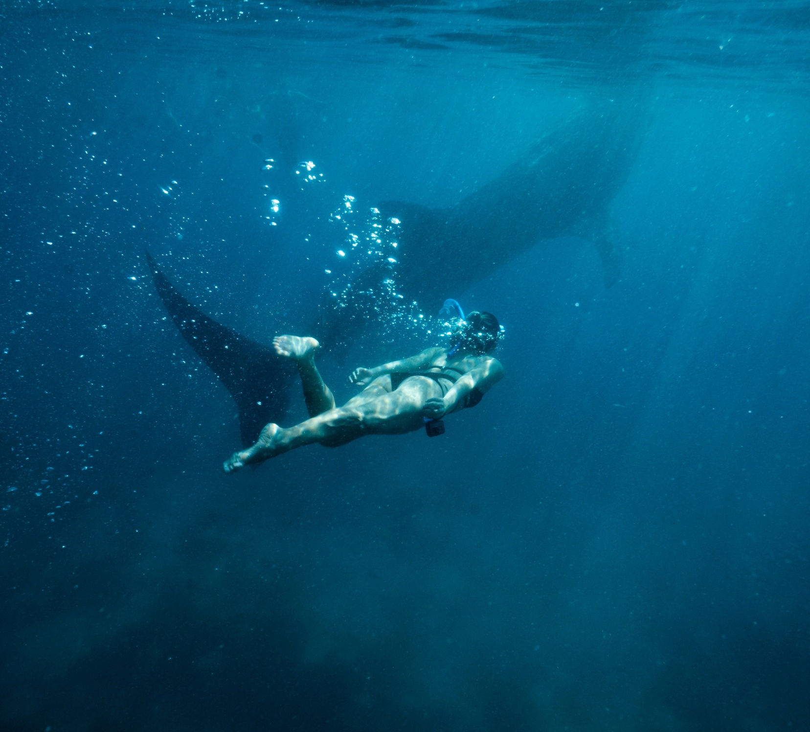 Snorkelling in the Red Sea — Boreas voyage, Egypt
