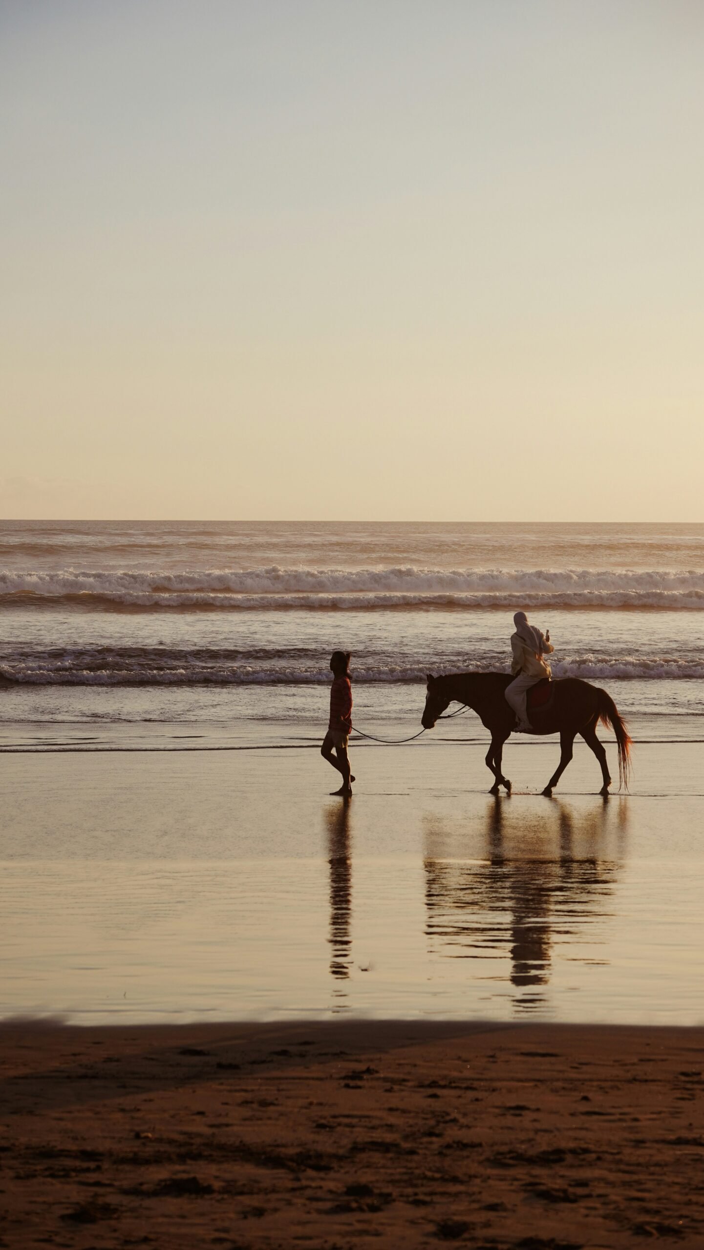 Horseback riding on the Red Sea coast in Egypt