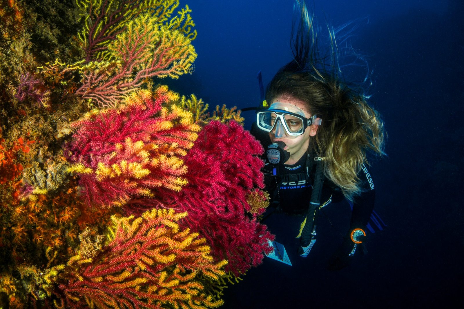 Diver above coral in the Egyptian Red Sea