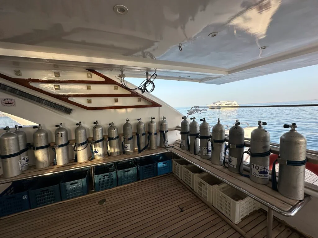 Queen Sherry dive deck