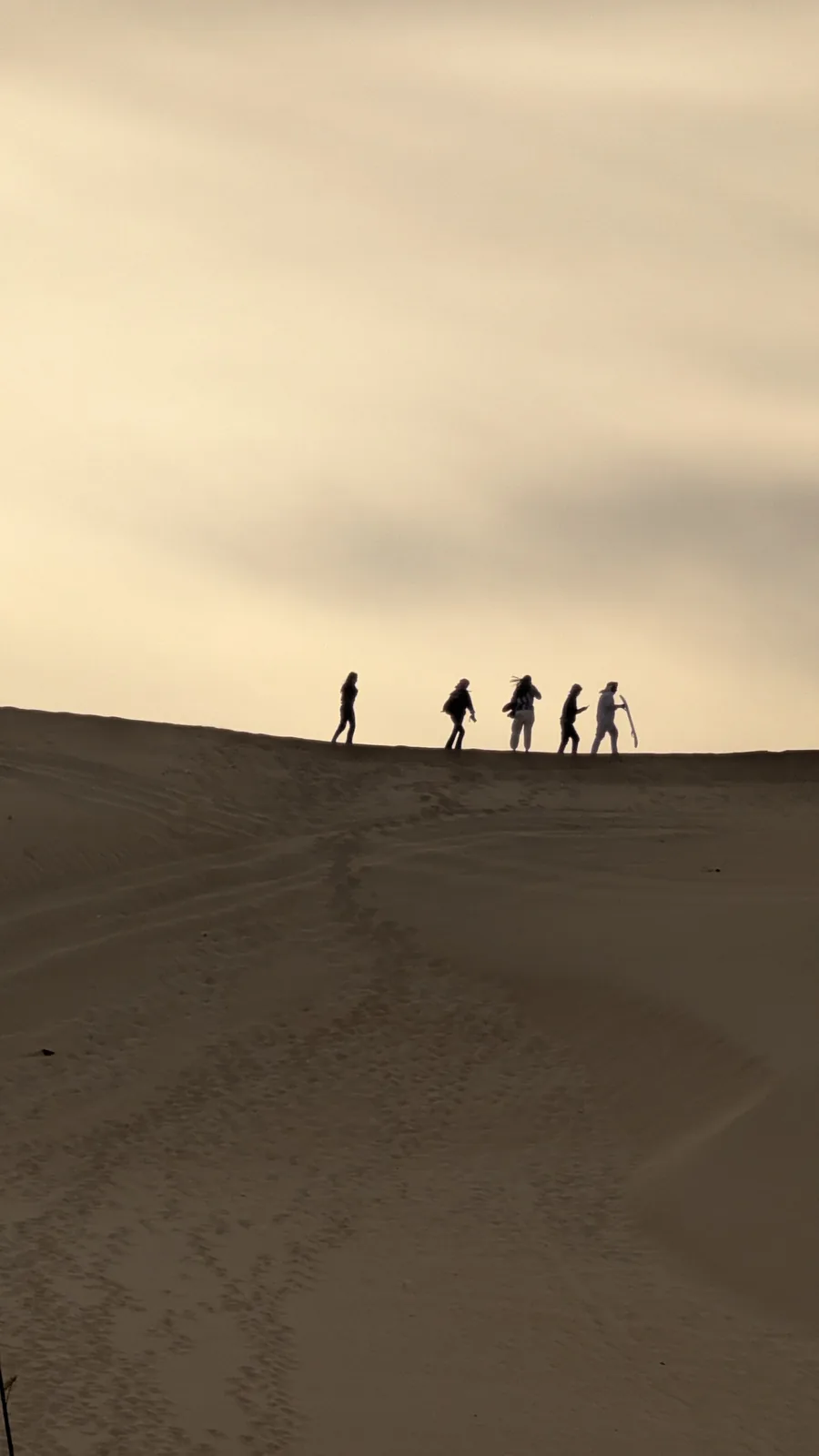 Walkers silhouetted on a dune crest in the Great Sand Sea