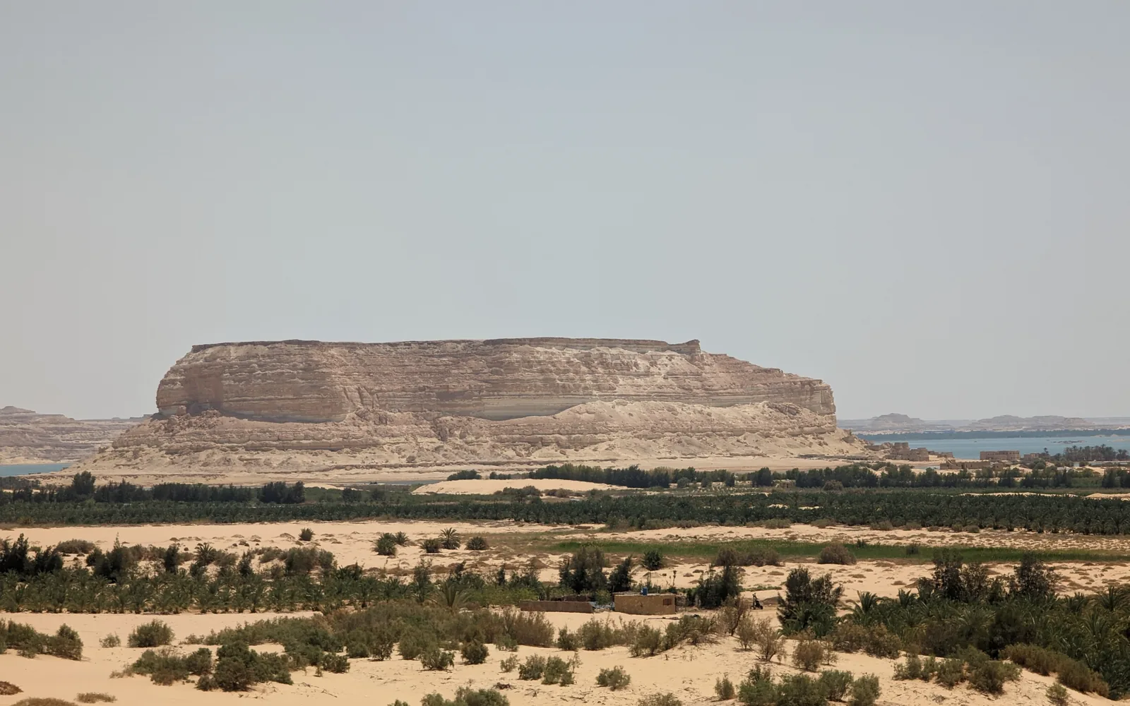 Mountain of the Dead rising above palm groves at Siwa Oasis