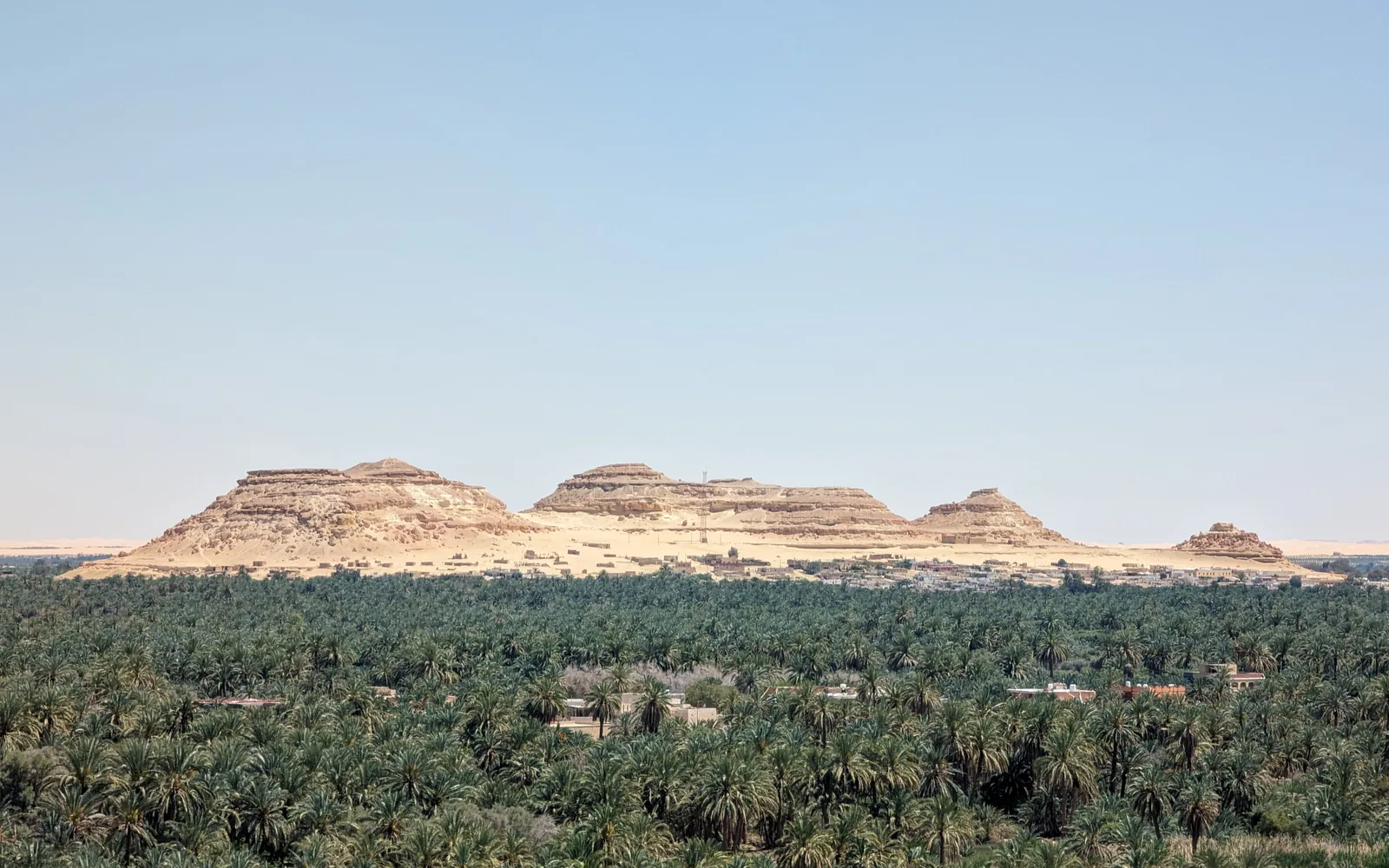 Palm groves below Gebel Dakrour, Siwa Oasis, Egypt