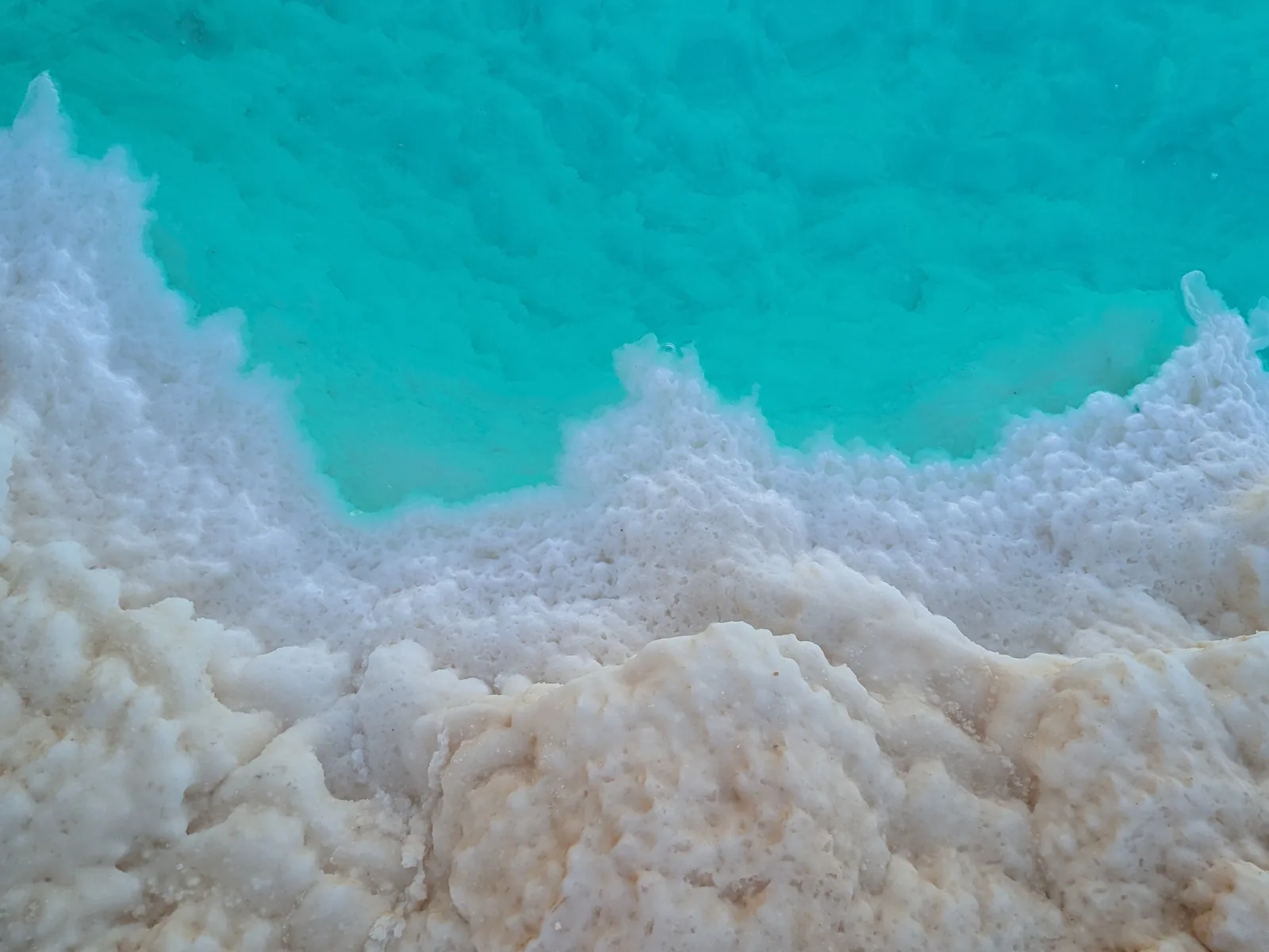 Turquoise salt lake shore at Siwa Oasis, Egypt