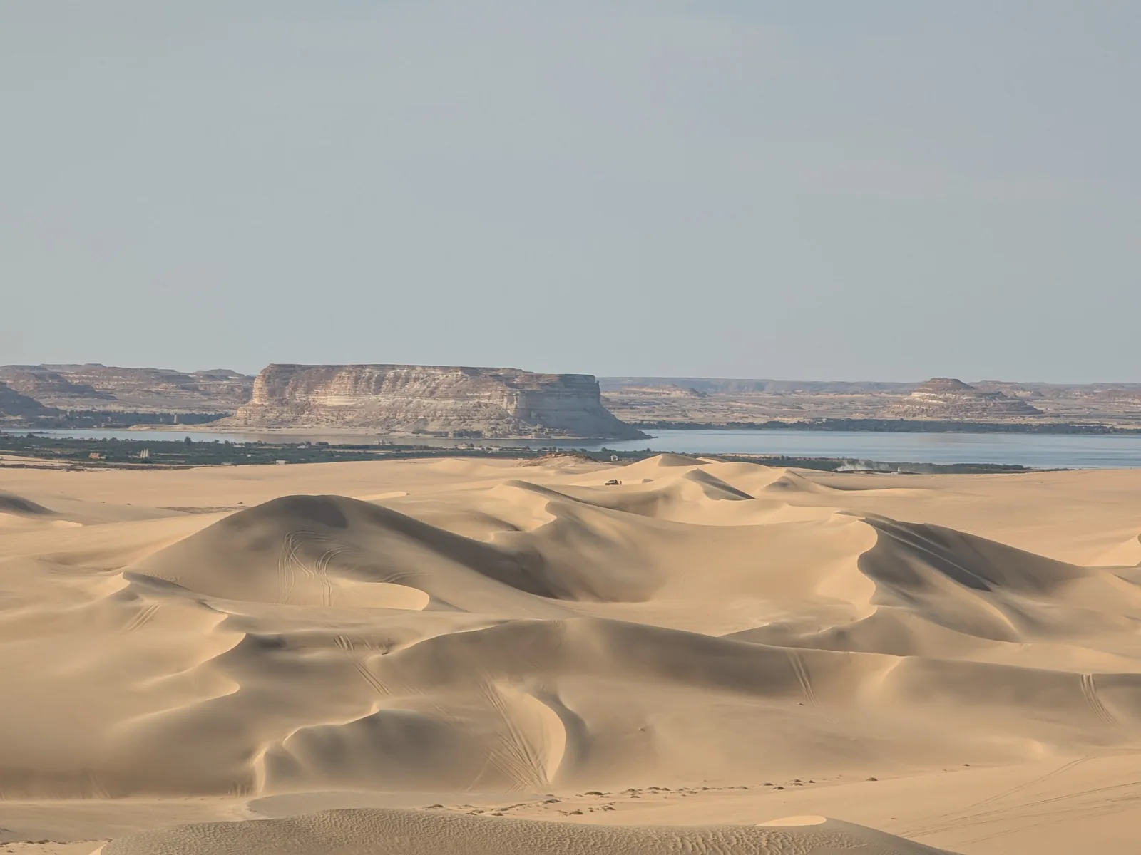 Great Sand Sea dunes and escarpment near Siwa, Western Desert, Egypt