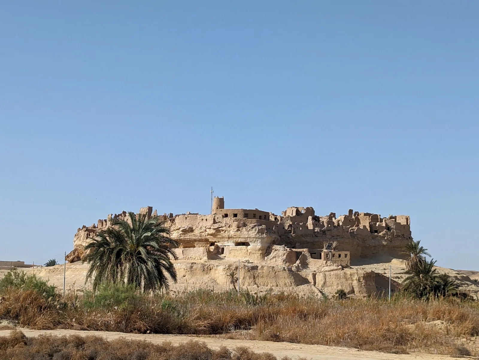 Shali Fortress walls framed by palm trees, Siwa Oasis