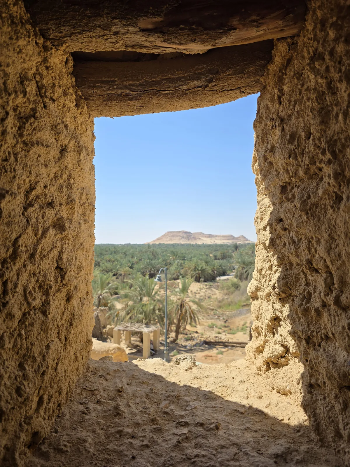 View over Siwa palm groves through an old mud-brick window